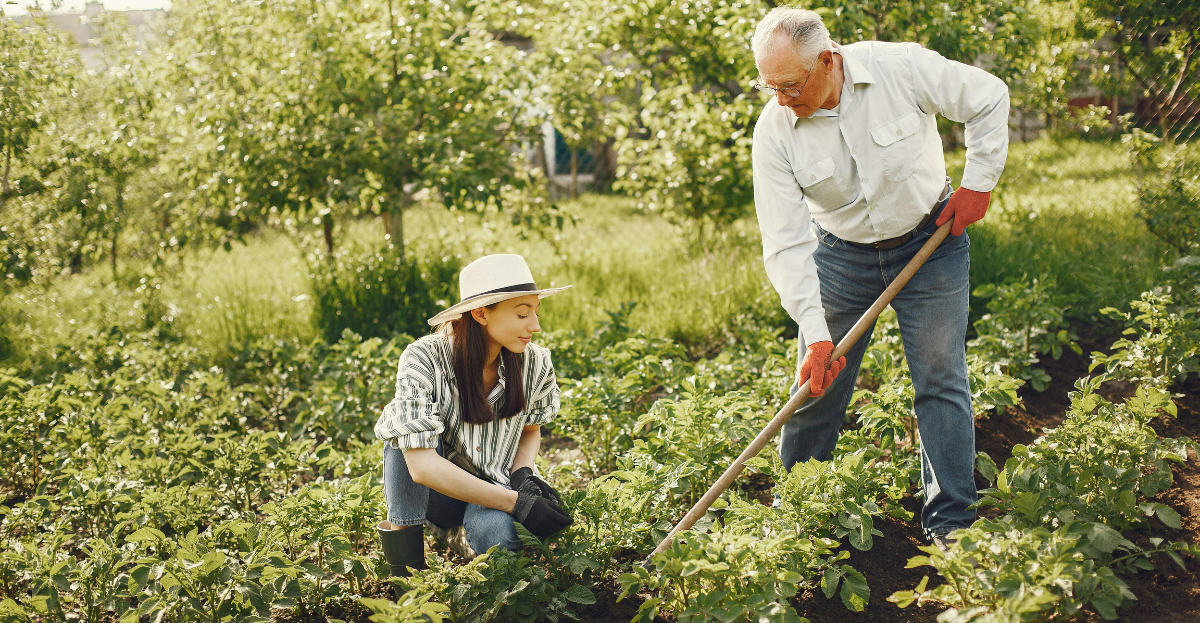 Two allotmenteers